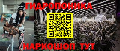 мдпв Можга