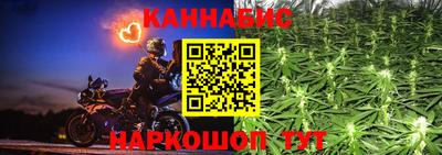 индика Можайск