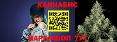 индика Можайск