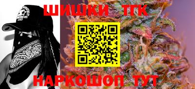 индика Можайск