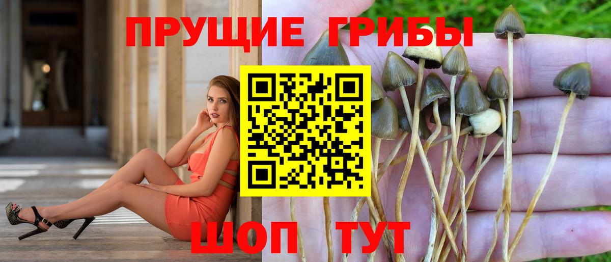 Галлюциногенные грибы мухоморы  Вход с VPN  Чусовой 